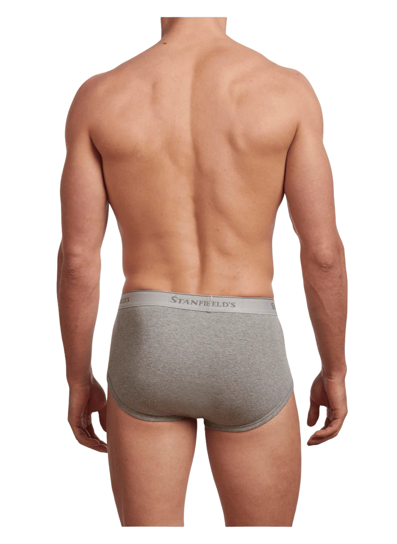 Men's | Stanfield's | 2503 | 100% Cotton | 3 Pack Brief | Grey Heather