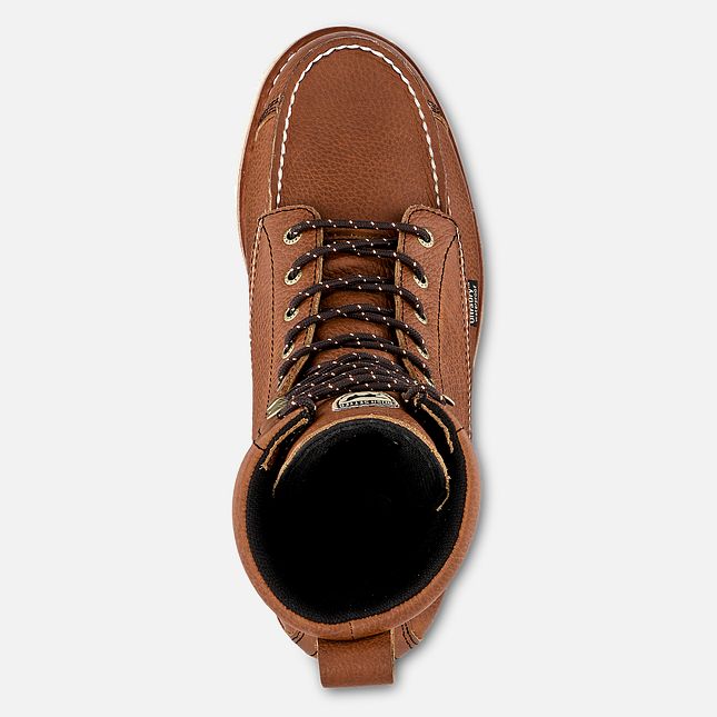 Men's | Irish Setter | 896 | Wingshooter 9" Hunting Boot 400g Insulation | Amber