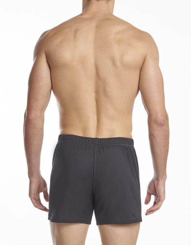 Men's | Stanfield's | 2589 | 100% Cotton Premium Boxer | 2 Pack | Black